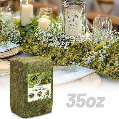 Alphatool 35oz Jumbo Pack Natural Green Moss for Crafts - Bulk Moss for Plants Indoor, Artificial Fairy Gardens, Mosswall, Filling Fake Plants, Floral Design, Home Decoration, Professional DIY Use