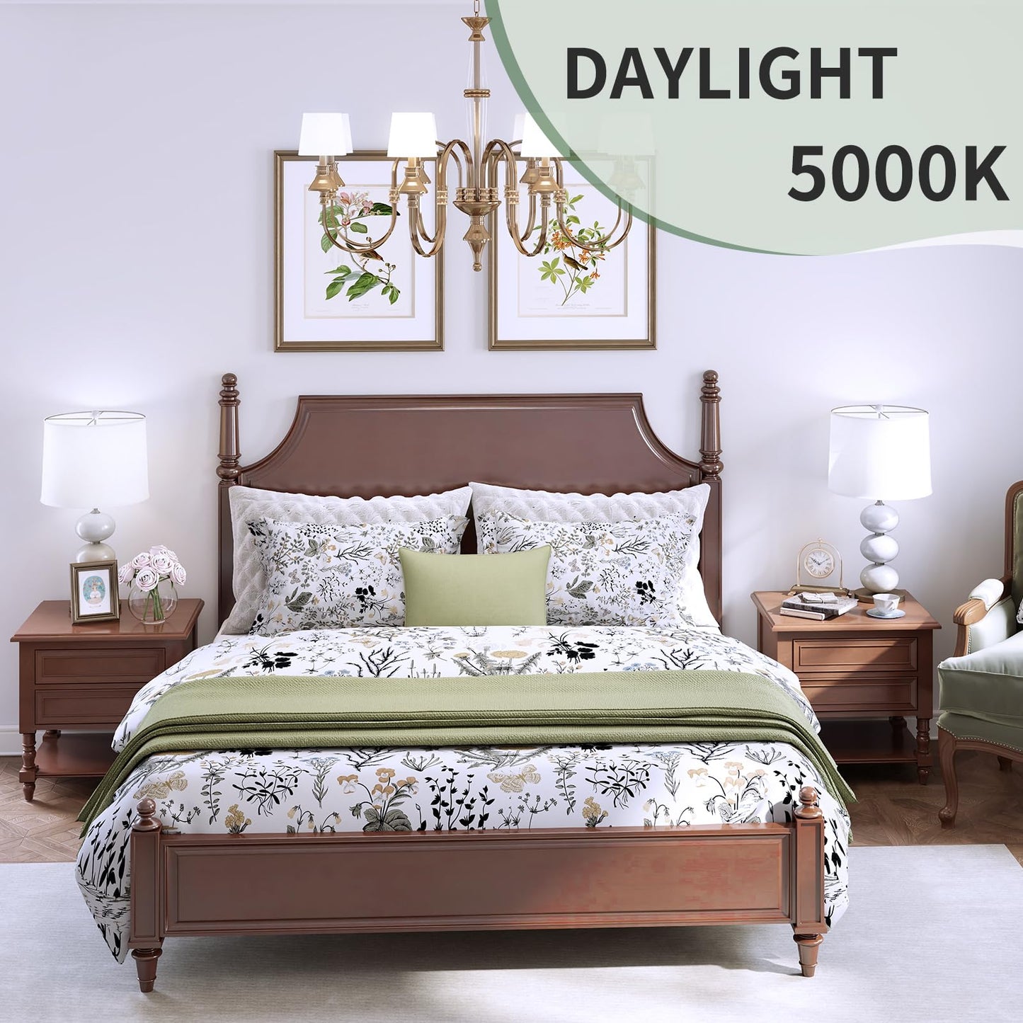 evelor 6-Pack A19 LED Light Bulbs,60 Watt Equivalent Daylight 5000K with E26 Base,Efficient 9W,800 Lumens Non-Dimmable LED Bulbs,15000 Hours, Ideal for Bedroom Living Room