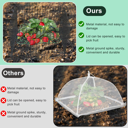 4 Sets 12x12Inch Upgraded Strawberry Supports with Wire Plant Protectors from Animal Sturdy Metal Wire Plant Cages Mesh