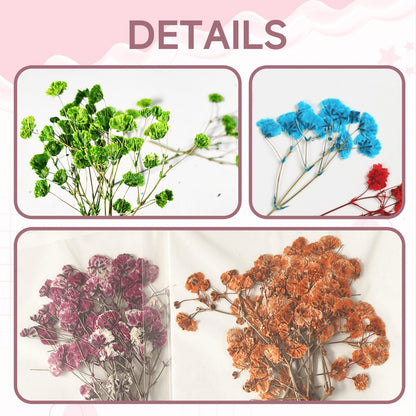 QinXunTa 9 Pack Dried Flowers, Natural Pressed Flowers Kit for DIY Crafts, Scrapbook, Card Making,9 Colors