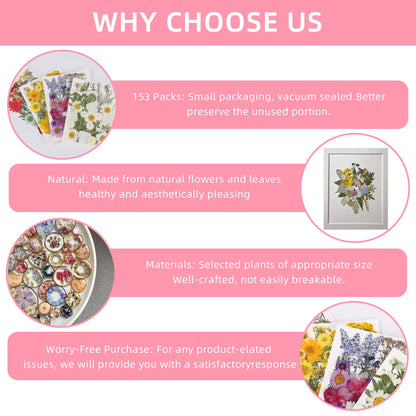 Botanical Pressed Flower Set – Real Dried Flowers & Leaves for Resin Art, Scrapbooking, Candle Making, and DIY Nature Crafts
