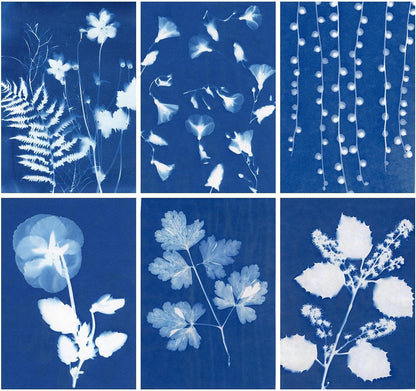60 Sheets Sun Print Paper Cyanotype Paper Kit, A6 Sun Art Paper With 1 Acrylic Board for Sun Printing, Light Sensitive Solar Photography Paper for Kids DIY Crafts (4.1 x 5.8 inch)