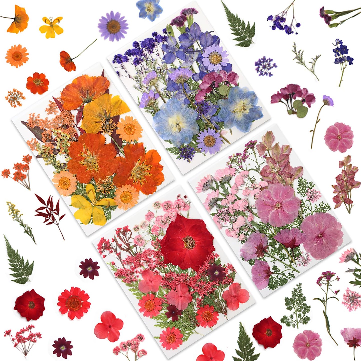 80 Pcs Dried Pressed Flowers for Crafts, Real Natural Dried Pressed Flowers in Vibrant Multicolor Tones for Resin, DIY Art, Jewelry, Candle & Soap Making – Tweezers Included