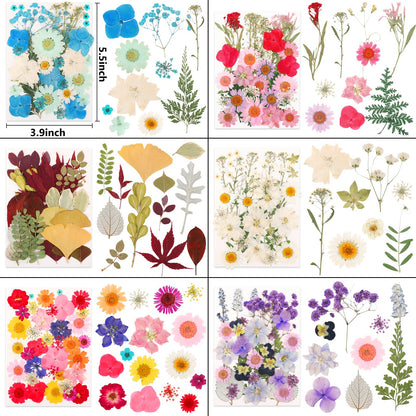 NESCCI 420 Pcs Dried Pressed Flowers for Resin,Real Nature Dried Flowers for Crafts Bulk Dry Flowers Leaves Kit Used for Resin Molds Scrapbooking DIY Art Crafts Candle Soap Making Nails Décor