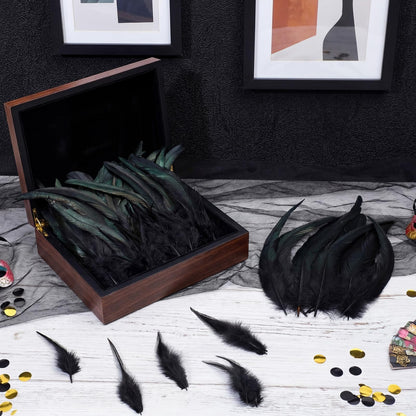 Suncalla 240 Pcs Rooster Feathers 4-6/10-12/12-14 Inches Craft Feathers for DIY Dream Catcher Crafts Sewing Holiday Costume Wedding Party Supplies and Home Decorations(Black)