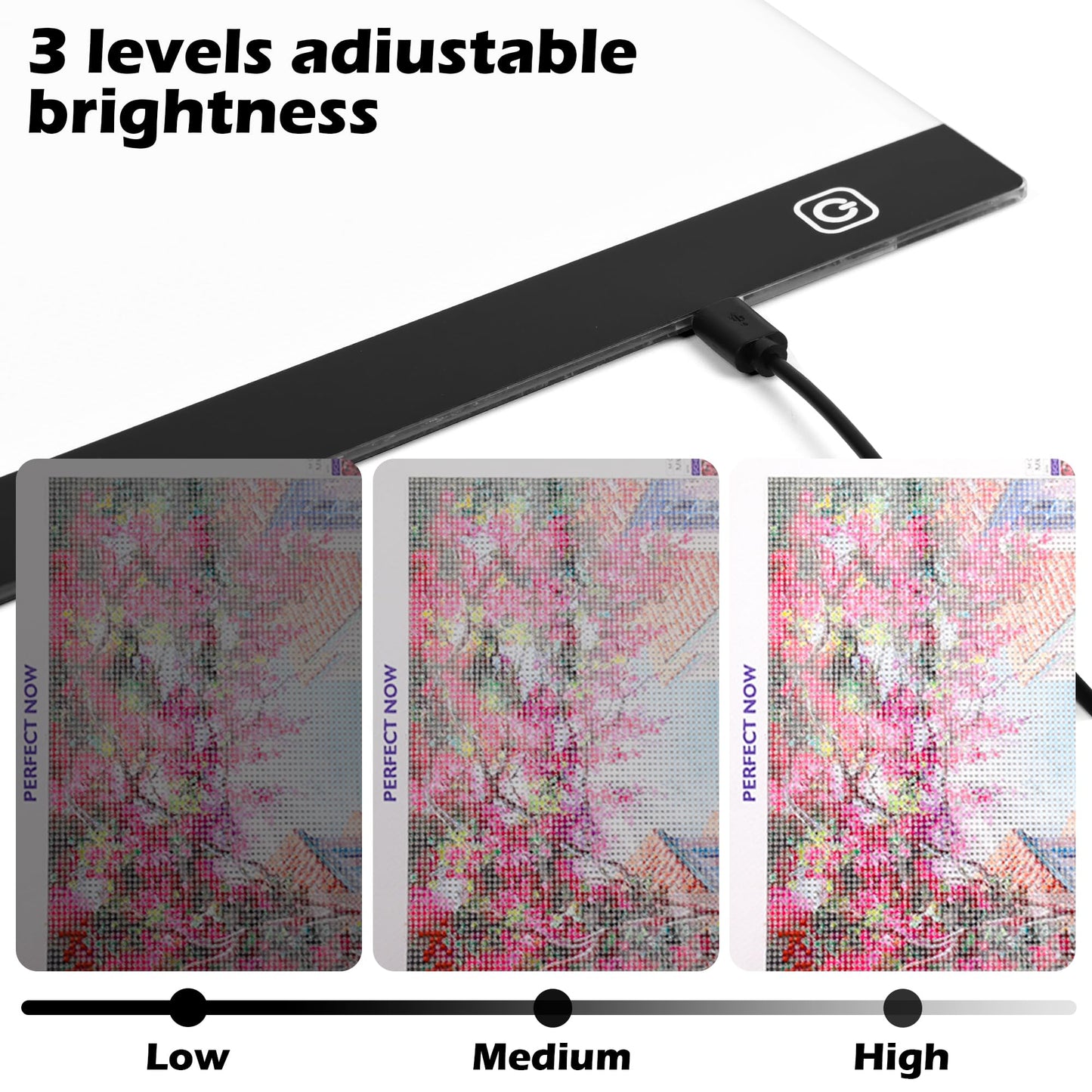 Diamond Painting Storage Accessories Kit with A4 LED Light Pad, Bead Organizers, Drill Pens, Storage Boxes, and Tools (A4 Light Pad Kit)