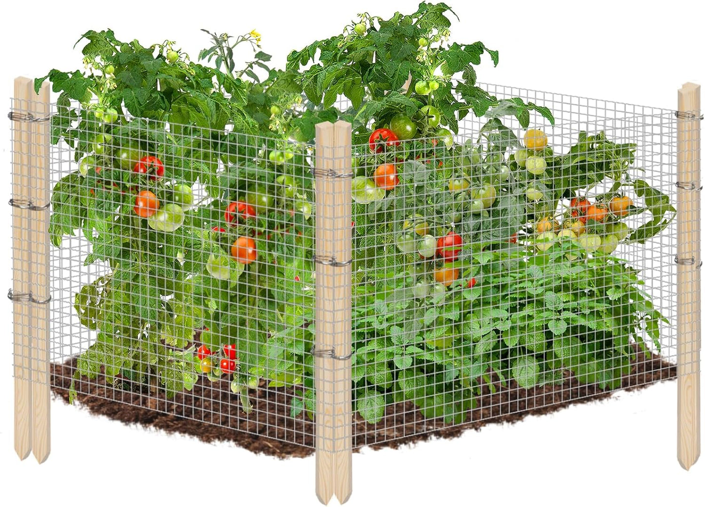 Set 15.8ft 16in 8pcs Ease to Install Garden Fence Animal Barrier - Included x Rustproof Metal Wire Net, Cedar Stakes