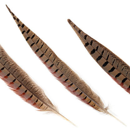 20pcs Male Pheasant Feather Natural Ringneck Tails Feathers 12-14inch 30-35cm for Crafts Home Wedding Party Performance DIY Decoration Pheasant Feather,Male Pheasant Feathers