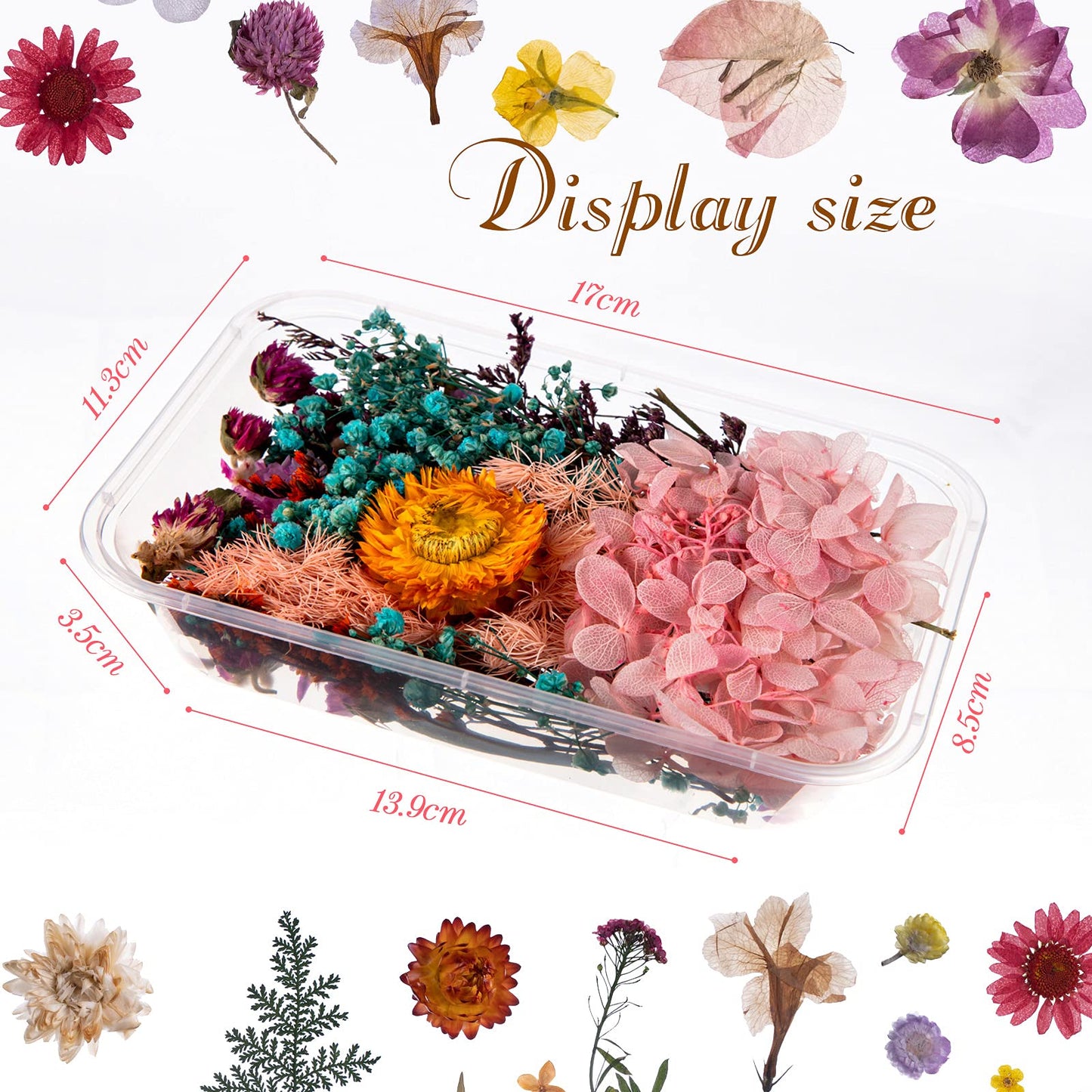 Nuanchu 200 Pcs Natural Dried Pressed Flowers and Leaves Resin Real Dried Flower Leaves Mixed with Tweezers for DIY Jewelry Candle Soap Vase Making Nail Card Scrapbook Art Craft Floral Decors