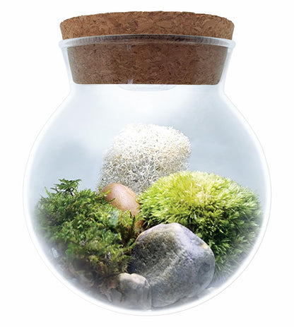 Create Your Serene Moss Sanctuary with The Unique Gardener Moss Bowl Terrarium Kit with LED Light - Complete Terrarium Supplies, Indoor Plants for Stress Relief & Air Purification!