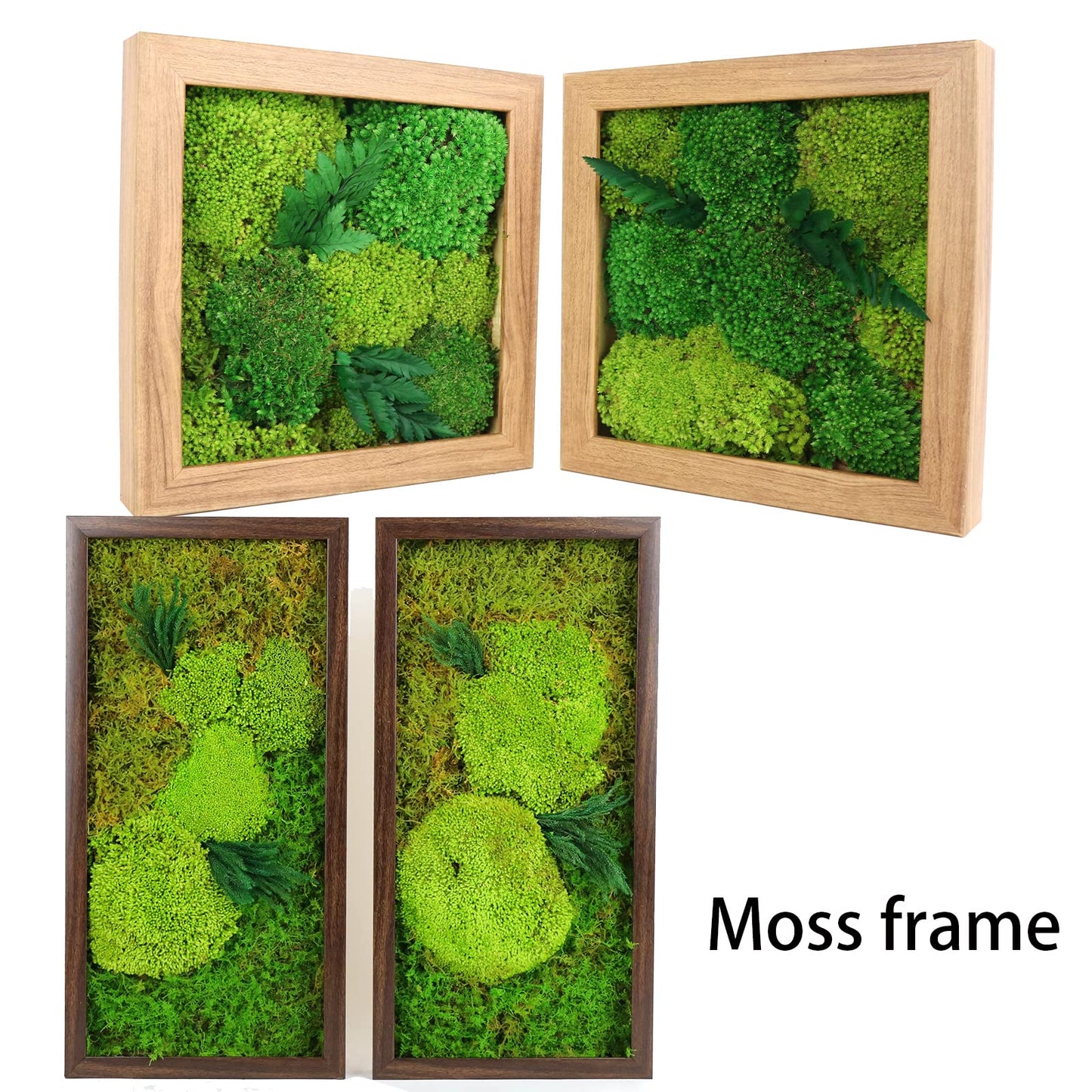 1.5 Sq. Ft. Preserved Moss Pole Decorative Moss for Crafts, Art, Wall Decor,Yellow Green Moss
