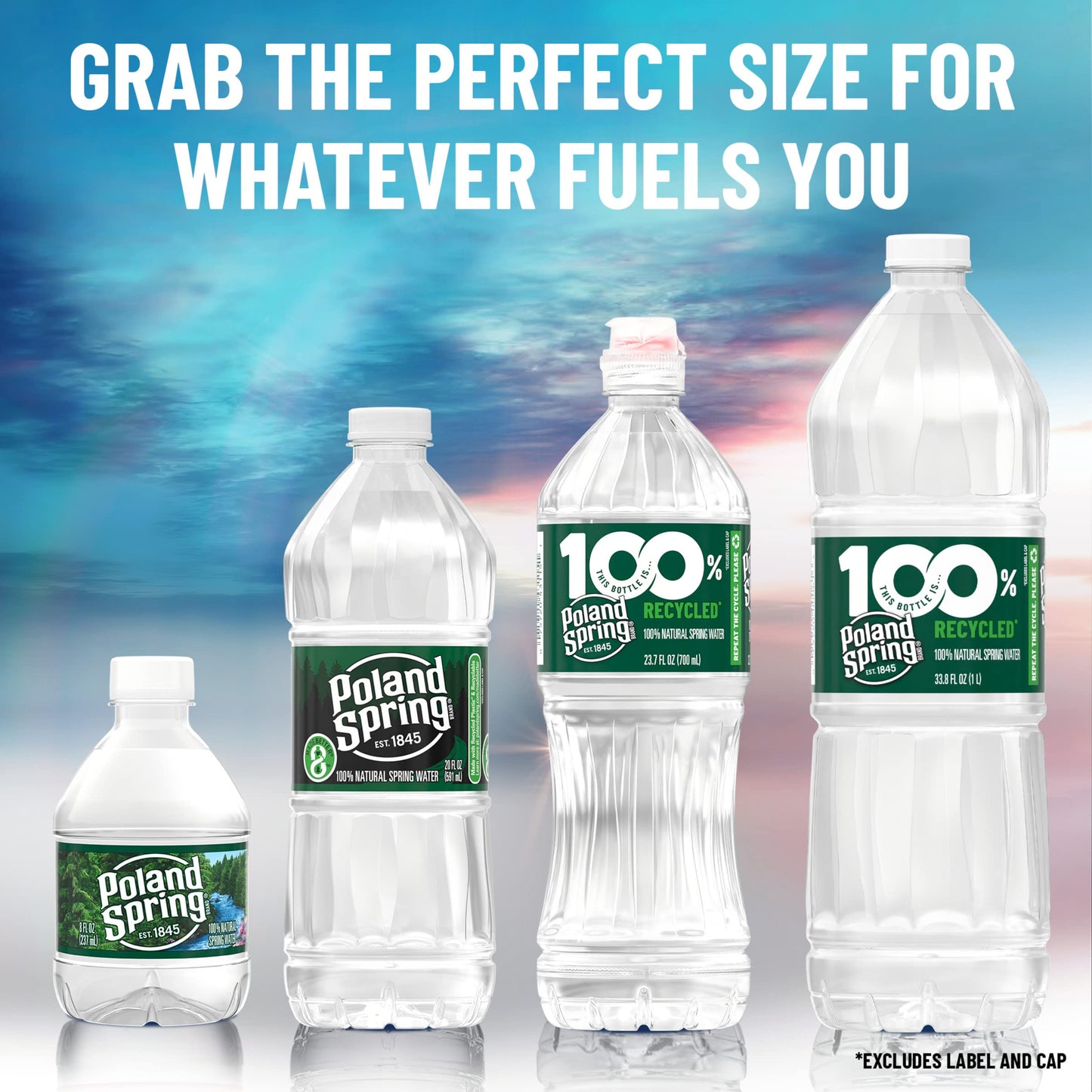 Poland Spring Natural Spring Water Bottles, 24 Pack - Still Bottled Water with Naturally Occurring Minerals - 16.9 Fl Oz Plastic Bottles