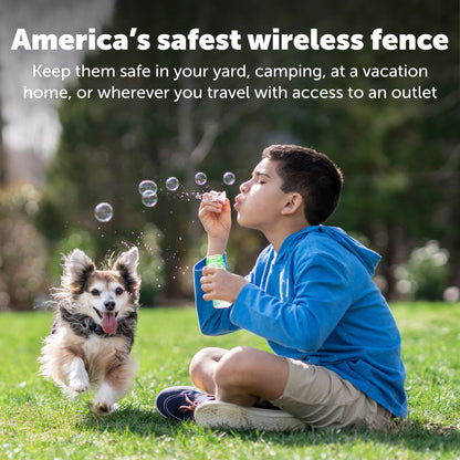 PetSafe Wireless Pet Containment System Receiver Collar - Battery-Operated & Waterproof - Adjustable Receiver Collar with 5 Correction Levels - for Dogs 5lb+