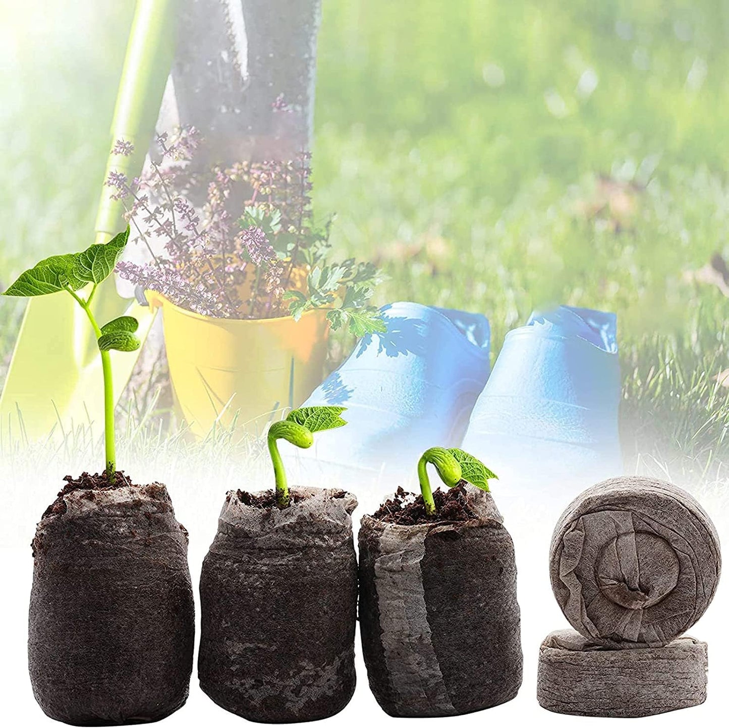 Woohome 150 PCS Peat Pellets Seeding Soil Set, Compressed Peat Block with Plant Labels for Indoor Outdoor Gardening