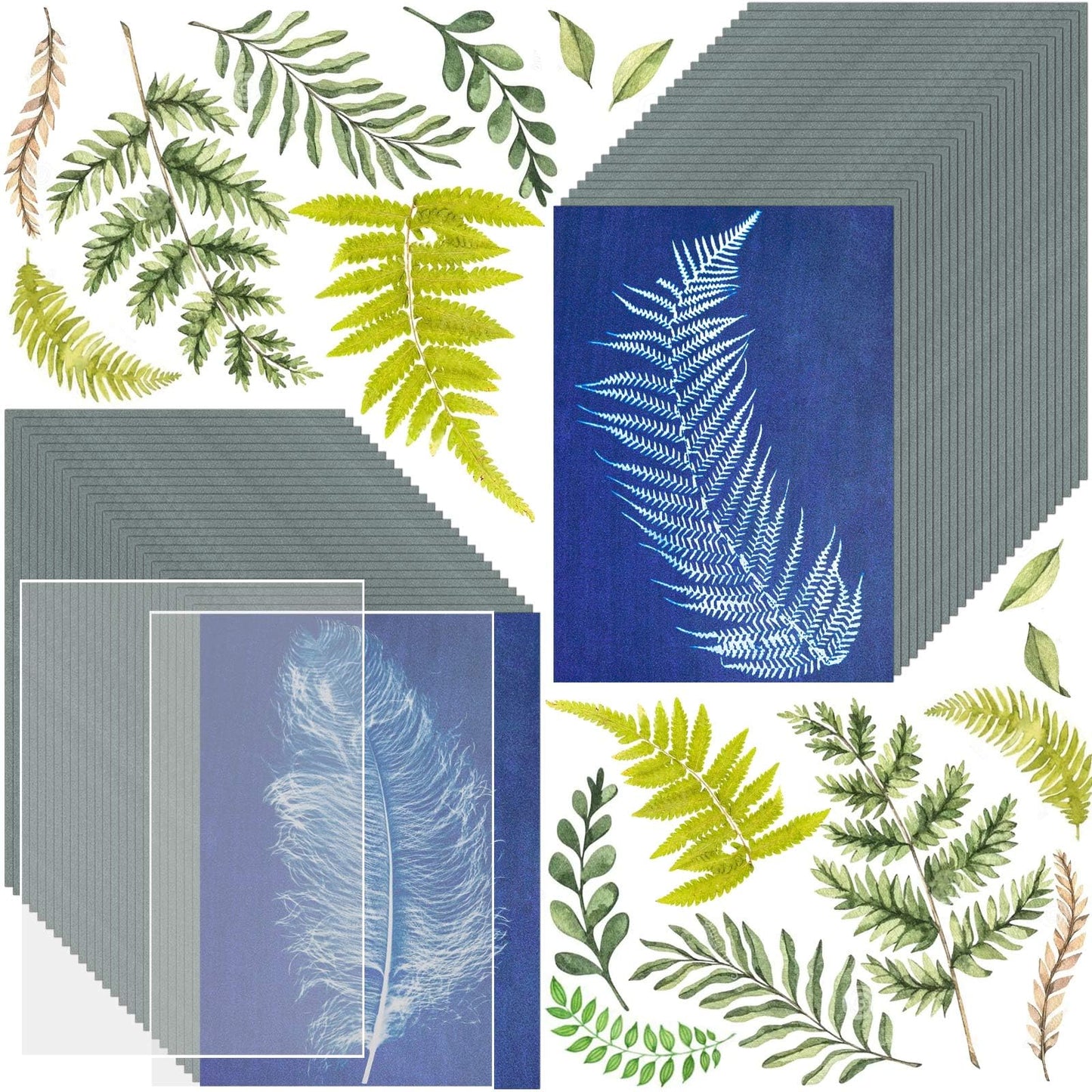 50 Pcs Sun Printing Kit Cyanotype Paper, A5 Sun Print Paper with 2 Plastic Tools for Sunprint, Light Sensitive Solar Photography Kit for DIY Crafts Project (5.8x8.3 Inch)