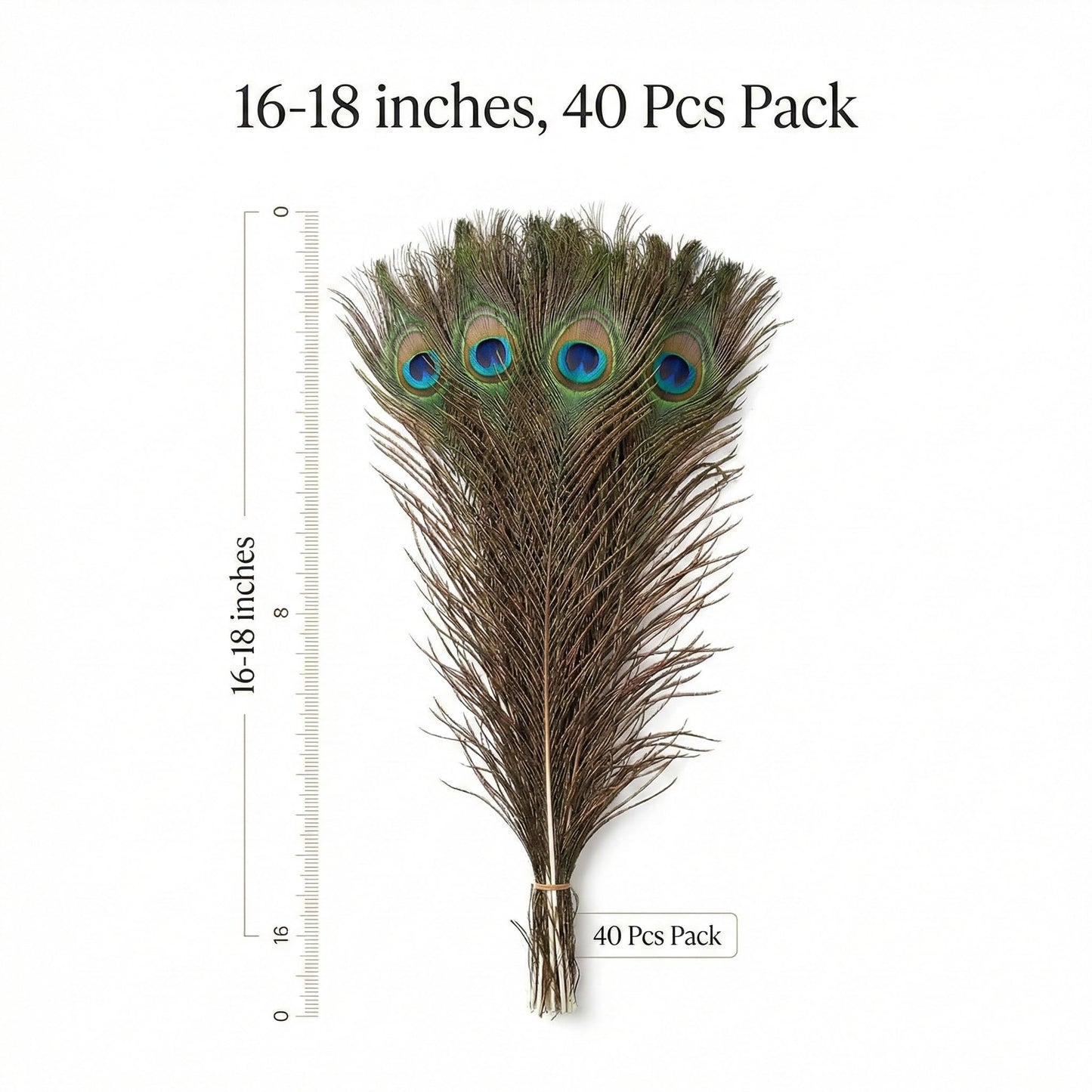 Lamar Peacock Feathers Bulk 16-18 Inch 40 Pcs Long Feathers with Large Eyes – Ultimate Bundle for Tall Vases, Wedding Centerpieces, Home Decor, Costumes, and DIY Crafts