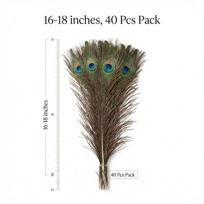 Lamar Peacock Feathers Bulk 16-18 Inch 40 Pcs Long Feathers with Large Eyes – Ultimate Bundle for Tall Vases, Wedding Centerpieces, Home Decor, Costumes, and DIY Crafts
