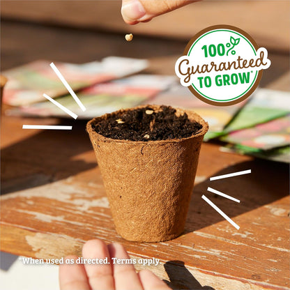 100% Packet 420mg Back to The Roots Organic Seed - Lettuce 'Gourmet Blend'