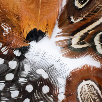 MWOOT 300PCS Spotted Chicken Feathers Natural Pheasant Plumage Feathers for DIY Crafts, Clothing, Jewelry, Wedding, Birthday Party, Dream Catcher Decoration