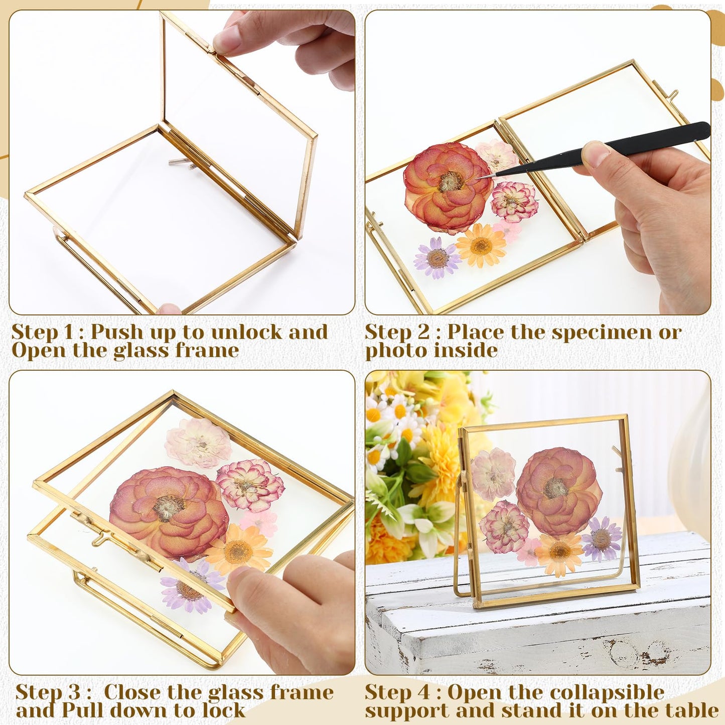 Vicenpal 5 Pack Glass Pressed Flower Frame Handmade, 4 x 4 floating Picture Frames for Pressed Flowers, Brass Double Glass for Tabletop Display, Home Office Plant Specimen, Photos(Gold)