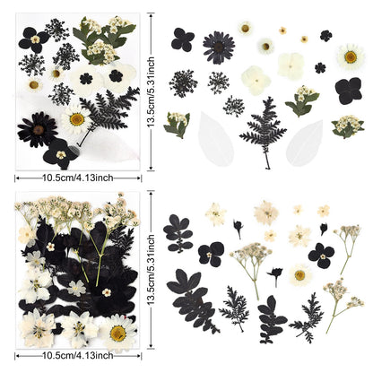 DALARAN Black Dried Pressed Flowers for Resin Molds, Bulk Real Natural Dry Floral for DIY Art Crafts, Epoxy Jewelry, Candle, Nails Decor, Phone Case,Soap Making