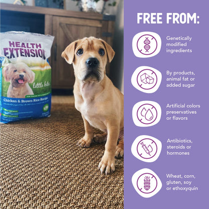 Health Extension Little Bites Dry Dog Food for Small Breeds, Chicken & Brown Rice Recipe, with Probiotics & Superfoods for Digestion & Coat Health, 10 lb Bag (Pack of 1)