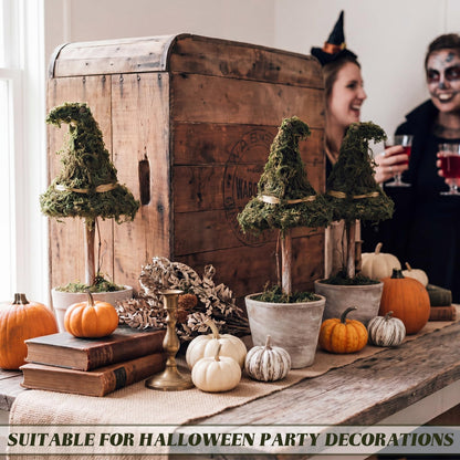 Thiccywoov 3 Pcs Halloween Witch Hat Topiary Plant with Pot Fake Small Moss Halloween Decorations Rustic Farm Witch Hat Plant Pot Tabletop Centerpiece for Home Bedroom Tiered Tray Decor Gifts 8.6inch