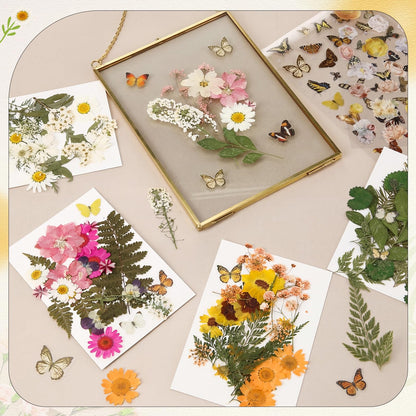 Solsew 160 Pcs Dried Pressed Flowers for Resin Set Natural Pressed Flowers with Butterfly Stickers for Crafts DIY Jewelry Floral Decors Making Nail Art(Wildflower,Light Yellow)