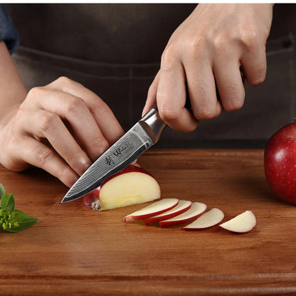 Wakoli EDIB Damascus Paring Knife – 3.2-Inch Small Kitchen Knife | Genuine 67-Layer Damascus Steel Blade with VG10 Core | Ergonomic Pakkawood Handle | Precision Cooking Knife in Gift Box