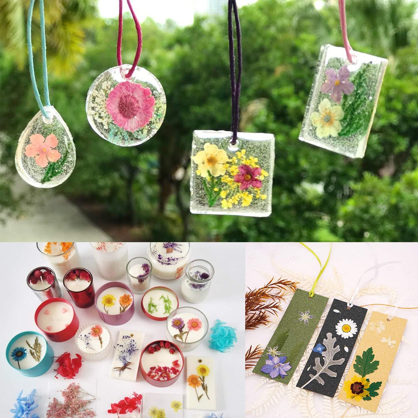 Cinvo 90 Pcs Real Dried Pressed Flowers and Leaves Natural Dried Petals for Candle Resin Jewelry Soap Nail Pendant Phone Case Crafts Making Floral Decors Scrapbooking DIY(Blue, Purple, Pink, Green)