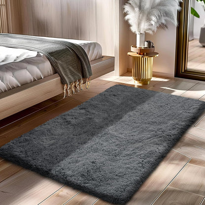 Skiennix Fluffy Shag Area Rug - Soft Grey 2x4 Bedroom & Entryway Decor | Cozy Small Throw Rug