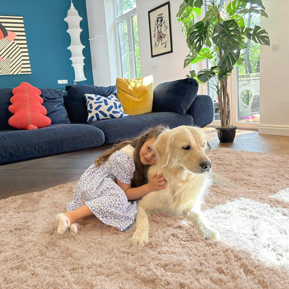 OLANLY Large Area Rug - Soft Fluffy Shaggy Indoor Carpet for Living Room & Bedroom | 5x9 Beige