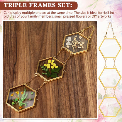 Marsui 3 Set Double Glass Frame Collage For Pressed Flowers with 9 Pcs 4 x 3 Inch Openings Gold Hanging Glass Floating Photo Frames for Artwork Display Photo Modern Home Wall Decor