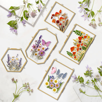 BABUFINE Pressed Flower Frames with Tweezers, Wall Hanging Double Glass Picture Frames with Chain for Dried Flowers Plants Wall Decor,Only Frame (Gold-5PCS)
