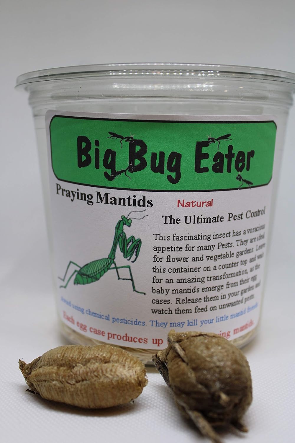 TruBlu Supply 1 32oz Fresh Large Chinese Ootheca Praying Mantis Egg Plus + Crystal Clear Incubator Cup Hatching Habitat
