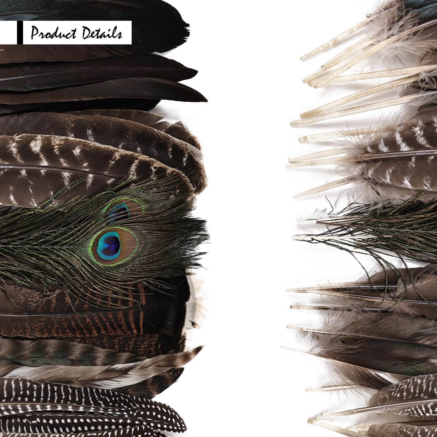 iHUFeather 42pcs Natural Pheasant Feathers Bulk Spotted Feathers 7 Styles Mixed Feathers for Crafts DIY Hat Floral Arrangements Wedding Home Decorations