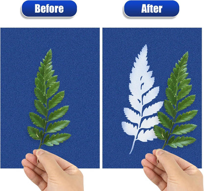 Sun Print Paper Kit Cyanotype Paper, 60 Sheets Cyanotype Papers with 1 Sheet Acrylic Panel, High Sensitive Nature Solar Activated Printing Art Supplies for Arts Crafts DIY Project