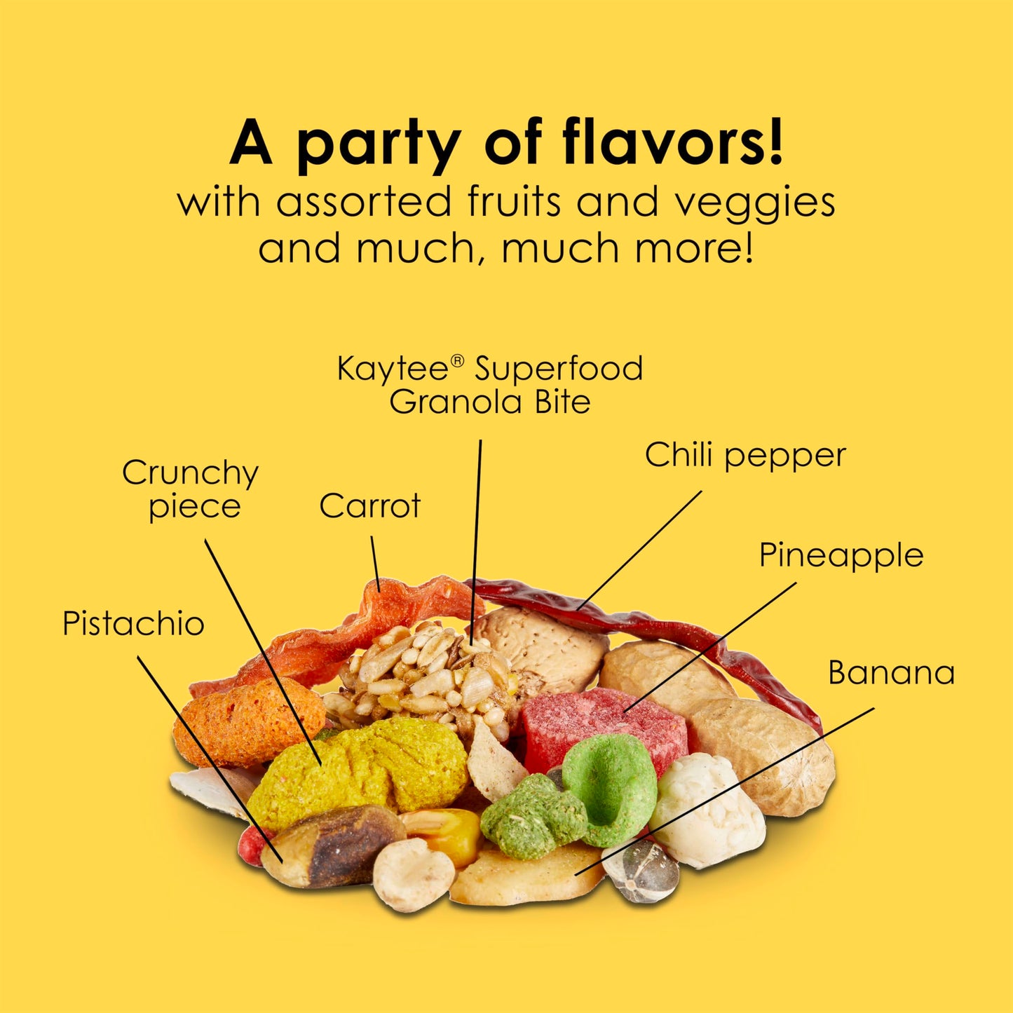 Kaytee Fiesta Parrot Food, Nutritious and Fun Blend, Supports Skin, Feather, Digestion, Brain and Heart Health, 4.5 pounds