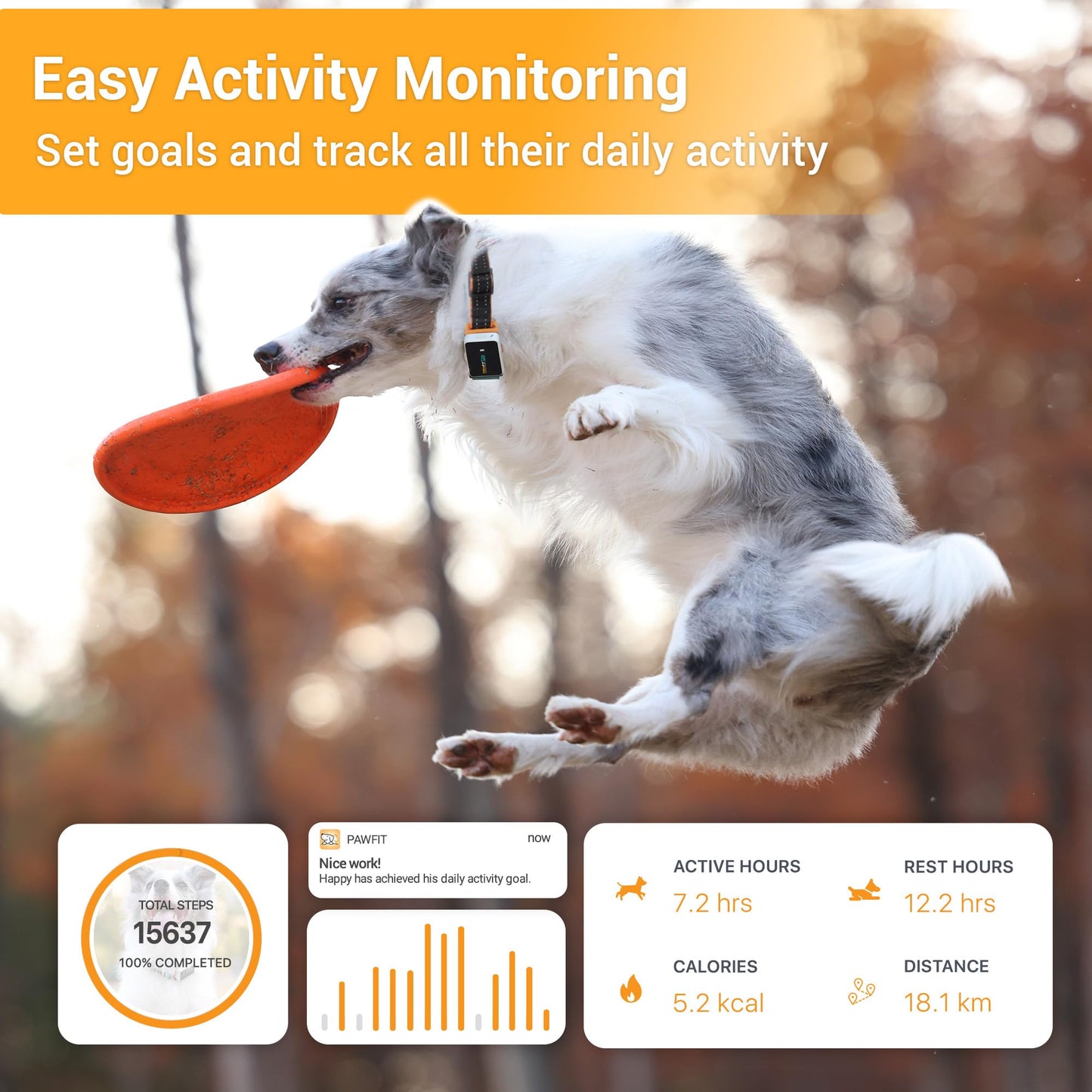 Pawfit 3 GPS Pet Tracker GPS Dog Tracker 4G Live Tracking, Smart Alerts, Fully Waterproof Activity Monitor for Pets, Unlimited Range, Remote Voice Recall, Fits All Collars, 30 Day Free Subscription