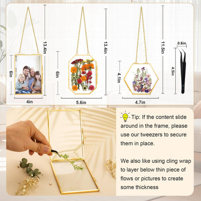 BABUFINE Pressed Flower Frames with Tweezers, Wall Hanging Double Glass Picture Frames with Chain for Dried Flowers Plants Wall Decor,Only Frame (Gold-3PCS)