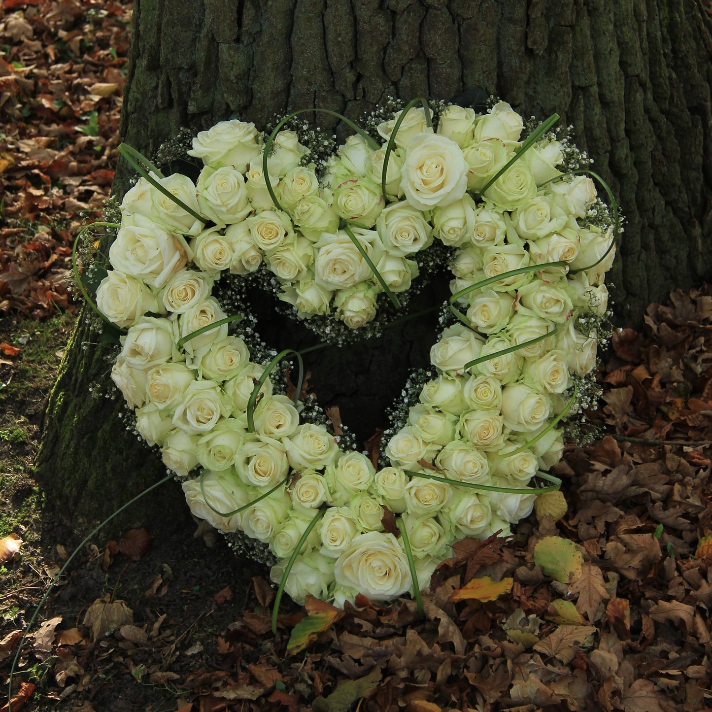 Heart Floral Foam Cage for Fresh Flowers,with Wet Floral Foam Blocks and Suction Cup, Suitable for Wedding,Home,and Garden Decorations.