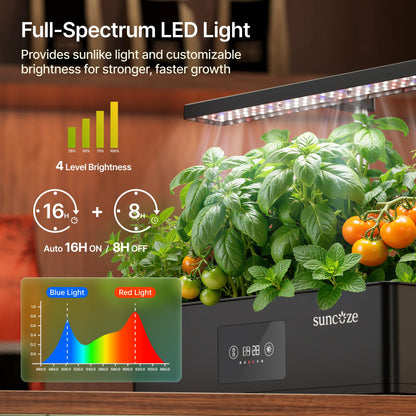 SUNCOZE Hydroponics Growing System Kit with 24W Dimmable Grow Light, 12 Pods Indoor Herb Garden with Timer & Local Time Setting, Adjustable Height, Smart Countertop Garden for Home & Kitchen, Black