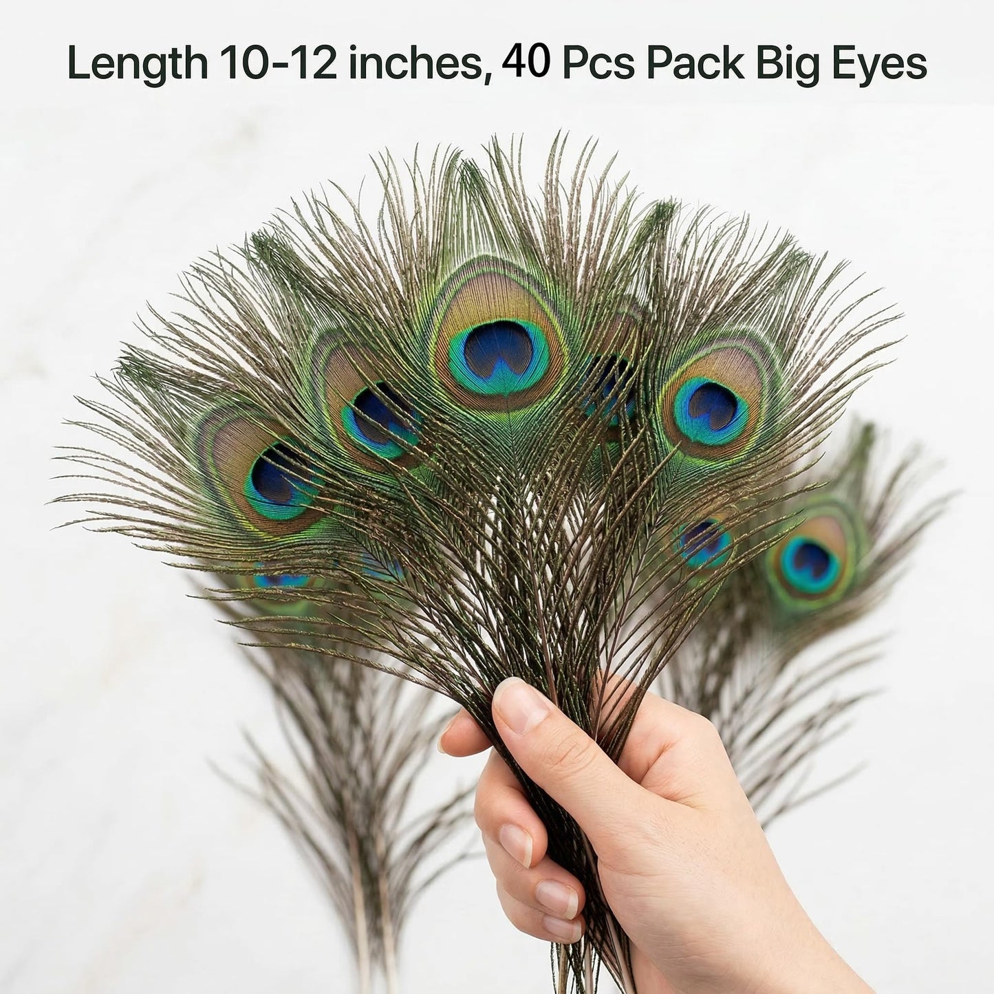 Lamar Big Eyes 40 Pcs 10-12 Inch Peacock Feathers Bulk Feathers for Vases, Home Decor, Wedding Centerpieces, Costumes, and DIY Crafts
