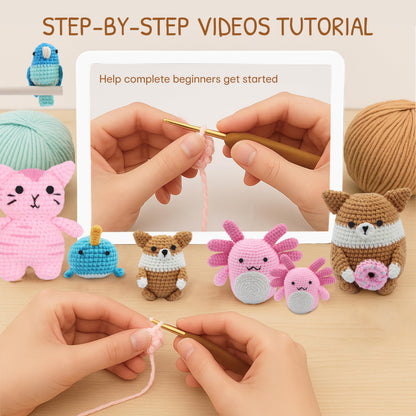 HOUSE CREATIVITY Cat Crochet Kit for Beginners – Make a Variety of Adorable Kittens, Amigurumi Crochet Starter Kit with Yarn, Eyes & Step-by-Step Video Tutorial, DIY Craft for Cat Lovers