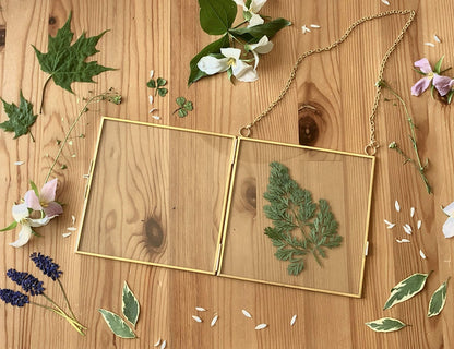 Glass Frame for Pressed Flowers, Leaf and Artwork - Hanging Gold 6x6 Square Metal Picture Frames, Clear Double Glass Floating Frame, Wall Decor Photo Display, Set of 2 Flower Press Frames with Chain