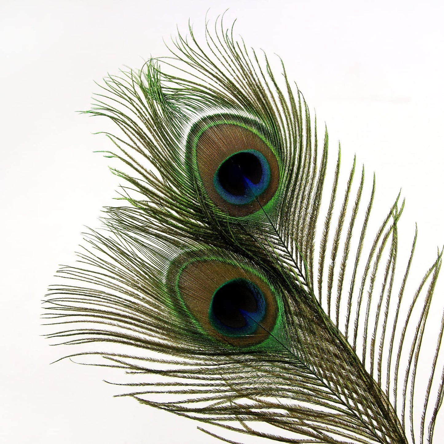 THARAHT 120pcs Peacock Feather Natural in Bulk 10-12 inch 25-30cm for Craft Vase Wedding Home Party Christmas Day Decoration Peacock Feathers