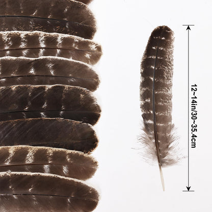 Daieeparty 12pcs Natural Color Wild Turkey Wing Feathers 12-14inch for DIY Crafts Home