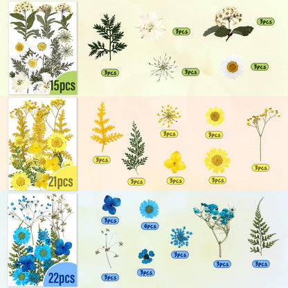 Nuanchu 223 Pcs Real Dried Pressed Flowers for Crafts Natural Dried Leaves and Butterfly Stickers Set Colorful Daisy Flowers and Adhesive Butterfly Decals for DIY Resin Jewelry Nail Crafts Floral Art
