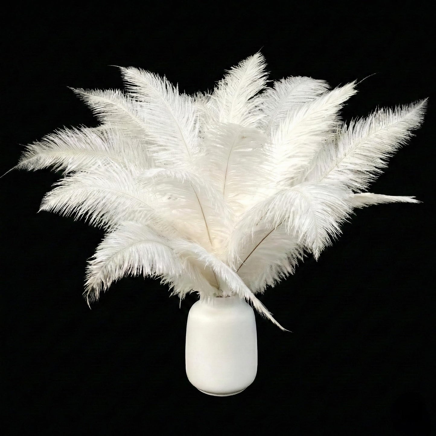 Lamar 16-18'' White Ostrich Feathers 12 Pcs White Feathers for Gatsby Party Decor, Wedding Centerpieces, DIY Crafts, and Floral Arrangements