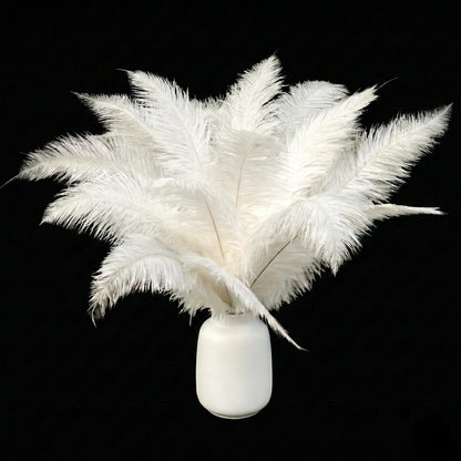 Lamar 16-18'' White Ostrich Feathers 12 Pcs White Feathers for Gatsby Party Decor, Wedding Centerpieces, DIY Crafts, and Floral Arrangements